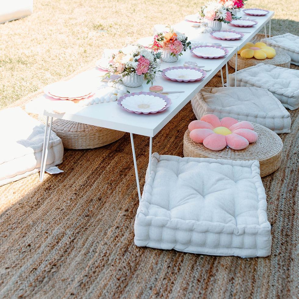 Low Picnic Table and Cushion Setup rental in Orlando, Florida